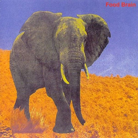 Food Brain | Social Gathering (w/ Shinki Chen) | Album