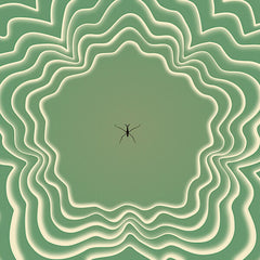Green Milk From The Planet Orange | Third | Album