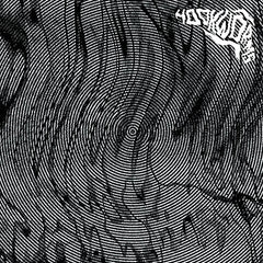 Hookworms | Hookworms | Album