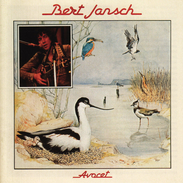 Bert Jansch | Avocet | Album