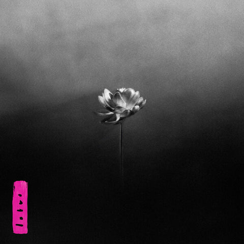 Little Simz | Lotus | Album
