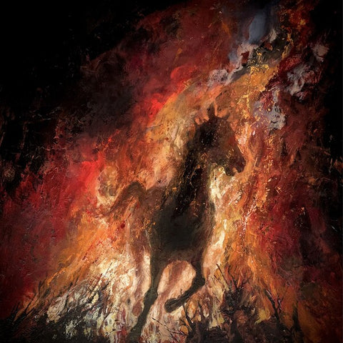 Miserere Luminis | Ordalie | Album