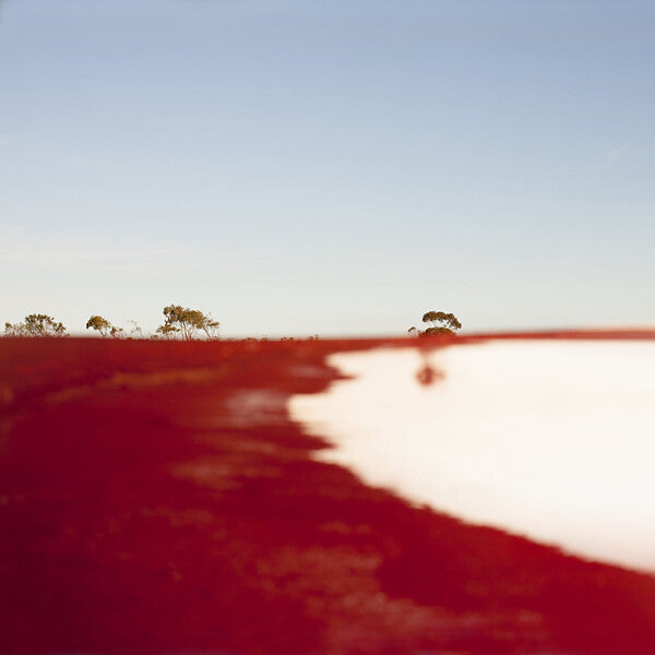 Australian Art Orchestra | Crossed & Recrossed (w/ Peter Knight) | Album