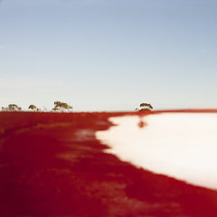 Australian Art Orchestra | Crossed & Recrossed (w/ Peter Knight) | Album