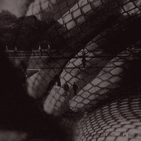 Plastic Tree | Nega to Poji | Album