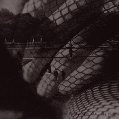 Plastic Tree | Nega to Poji | Album