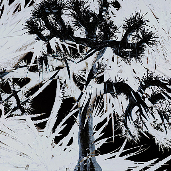 Plastic Tree | Plastic Tree | Album