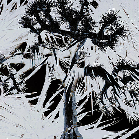 Plastic Tree | Plastic Tree | Album