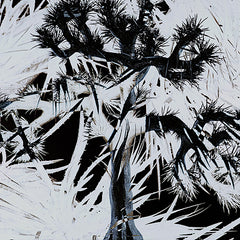Plastic Tree | Plastic Tree | Album