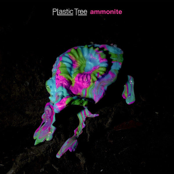 Plastic Tree | Ammonite | Album