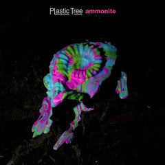 Plastic Tree | Ammonite | Album