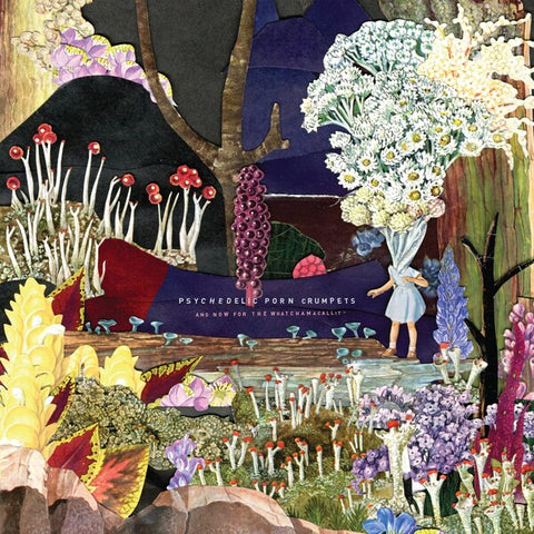 Psychedelic Porn Crumpets | And Now for the Whatchamacallit | Album
