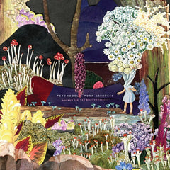 Psychedelic Porn Crumpets | And Now for the Whatchamacallit | Album