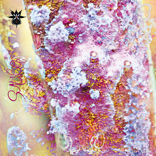 Qoa | Sauco | Album