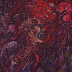 Qrixkuor | Poison Palinopsia | Album