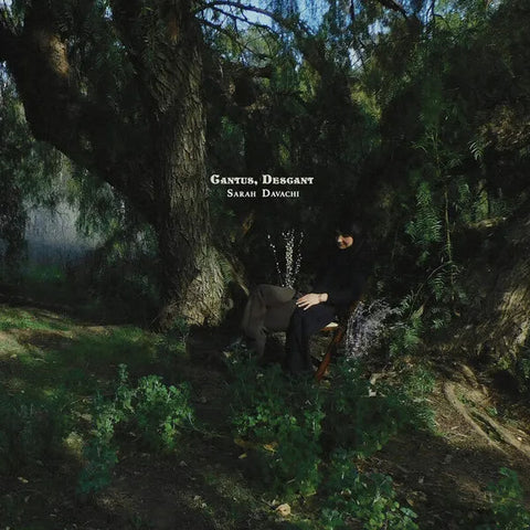 Sarah Davachi | Cantus déchantant | Album