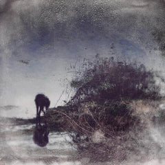 Simon Posford | Flux & Contemplation - Portrait of an Artist in Isolation | Album