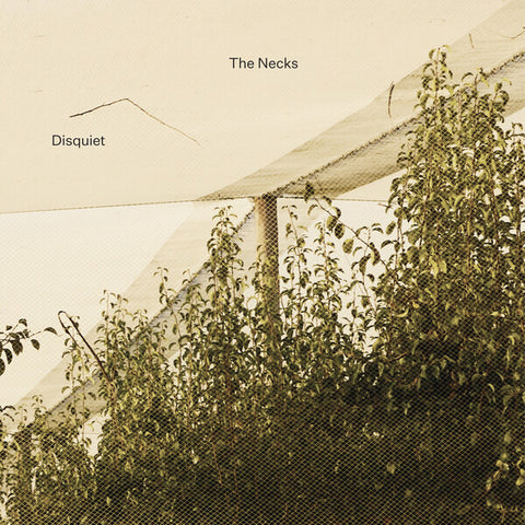 The Necks | Disquiet | Album