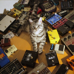 Tokyo Shoegazer |  Crystallize | Album