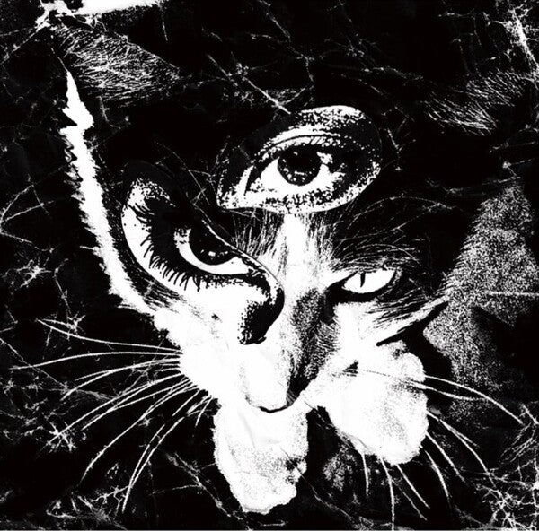 Tokyo Shoegazer |  Remains | Album