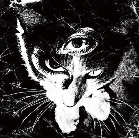 Tokyo Shoegazer |  Remains | Album