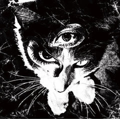 Tokyo Shoegazer |  Remains | Album