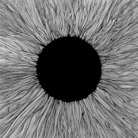 VOLA | Witness | Album