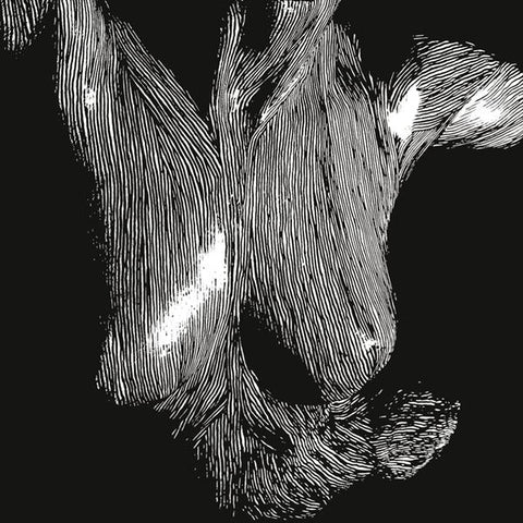 Oceansize | Self Preserved While the Bodies Float Up | Album-Vinyl