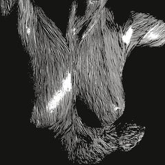 Oceansize | Auto-préservé pendant que les corps flottent | Album