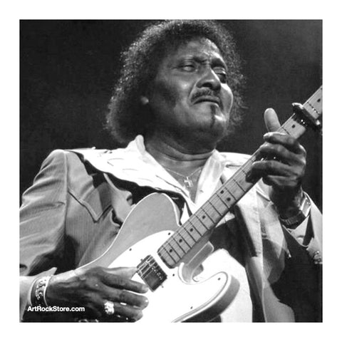 Albert Collins | Artist
