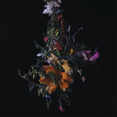 Big Brave | Nature Morte | Album