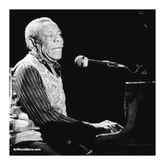 Champion Jack Dupree |  Artist