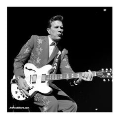 Chris Isaak |  Artist