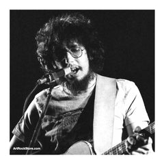David Bromberg |  Artist