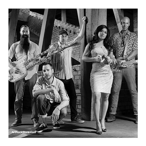 Dengue Fever | Artist
