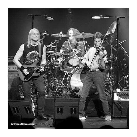 Dixie Dregs | Artist