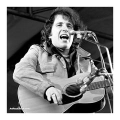 Don McLean |  Artist
