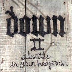 Down | Down II: A Bustle in Your Hedgerow | Album