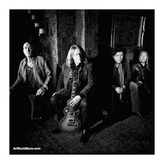 Gov't Mule |  Artist