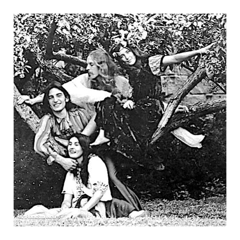 The Incredible String Band | Artist