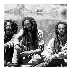 Israel Vibration |  Artist