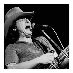 Jerry Jeff Walker |  Artist