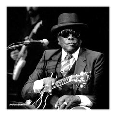 John Lee Hooker |  Artist