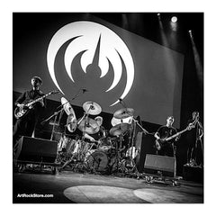 Magma |  Artist
