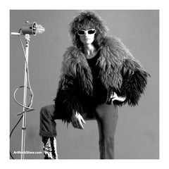 Michel Polnareff |  Artist