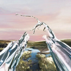 Naked Flames | Miracle in Transit | Album