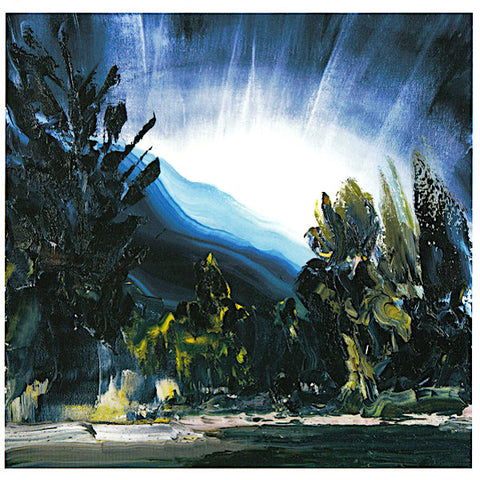 Shining Bird | Leisure Coast | Album-Vinyl
