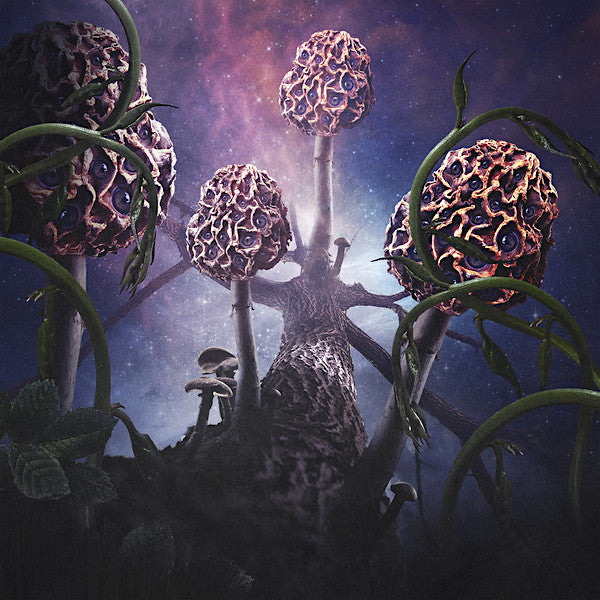 Blut aus Nord | Hallucinogen | Album-Vinyl