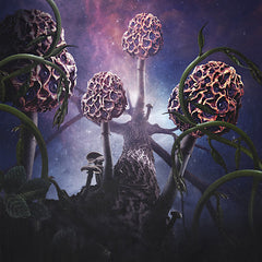 Blut aus Nord | Hallucinogen | Album
