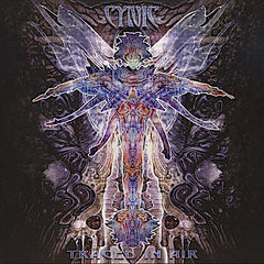 Cynic | Traced in Air | Album